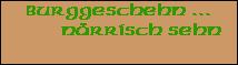 Burggeschehn ...










        nrrisch sehn