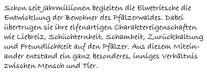 Schon seit Jahrmillionen begleiten die Elwetritsche die  Entwicklung der Bewohner des Pfälzerwaldes. Dabei  übertrugen sie ihre elfenartigen Charaktereigenschaften  wie Liebreiz, Schüchternheit, Schamheit, Zurückhaltung  und Freundlichkeit auf den Pfälzer. Aus diesem Mitein-  ander entstand ein ganz besonderes, inniges Verhältnis  zwischen Mensch und Tier.