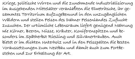 Kriege, politische Wirren und die zunehmende Industrialisierung  im ausgehenden Mittelalter veranlaßten die Elwetritsche, ihr ge-  sammtes Territorium aufzugebenund in den unzugänglichen  Wäldern und steilen Felsen des Dahner Felsenlandes Zuflucht  zusuchen. Der urtümliche Lebensraum liefert genügend Nahrung  wie Körner, Beeren, Nüsse, Kräuter, Koniferenspitzen und be-  sonders im Spätherbst Riesling und Silvanertrauben. Auch  bietet er im dichten Unterholz und in den Felsspalten die besten   Voraussetzungen zum Nestbau und damit auch zum Fortbe-  stehen und zur Erhaltung der Art.