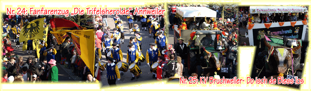 Umzug-Dahn-2011-13