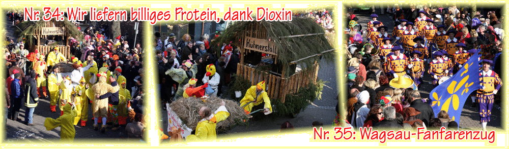 Umzug-Dahn-2011-19